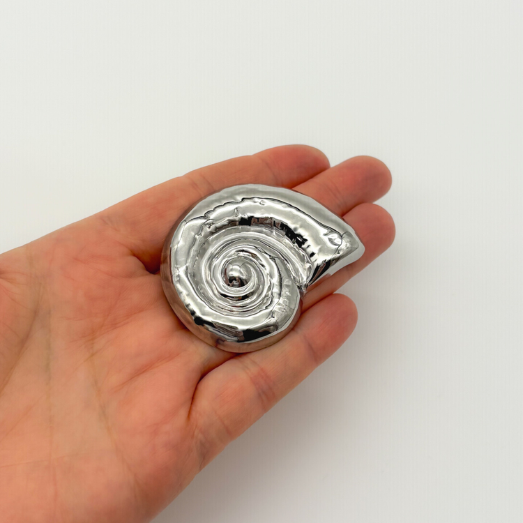 Chunky Shell Brooch Pin